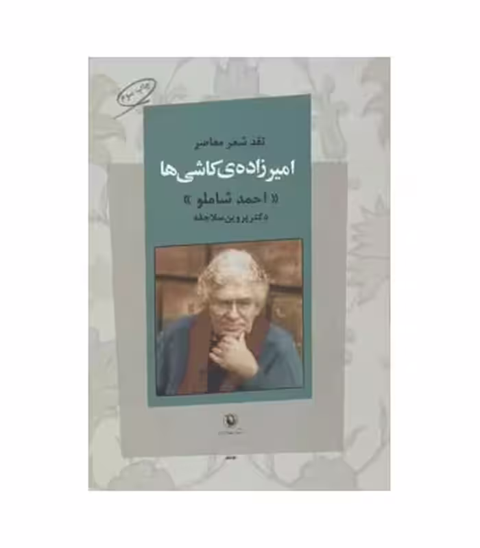 کتاب امیرزاده کاشی ها اثر پروین سلاجقه