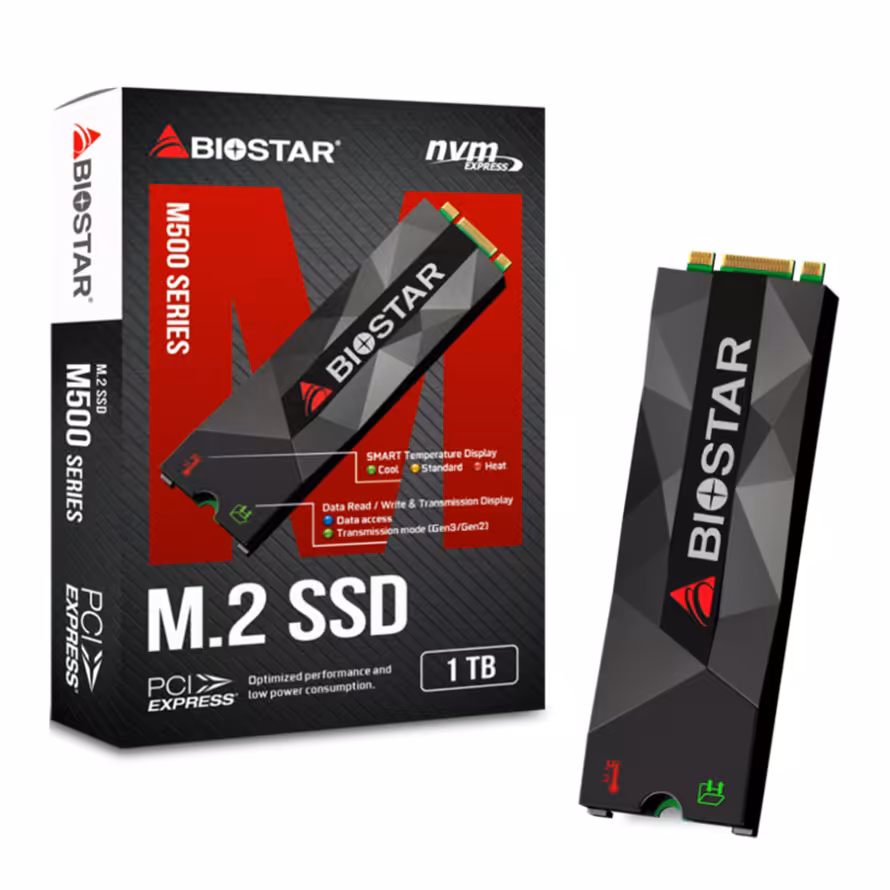 اس اس دی بایواستار M500 1TB NVMe
