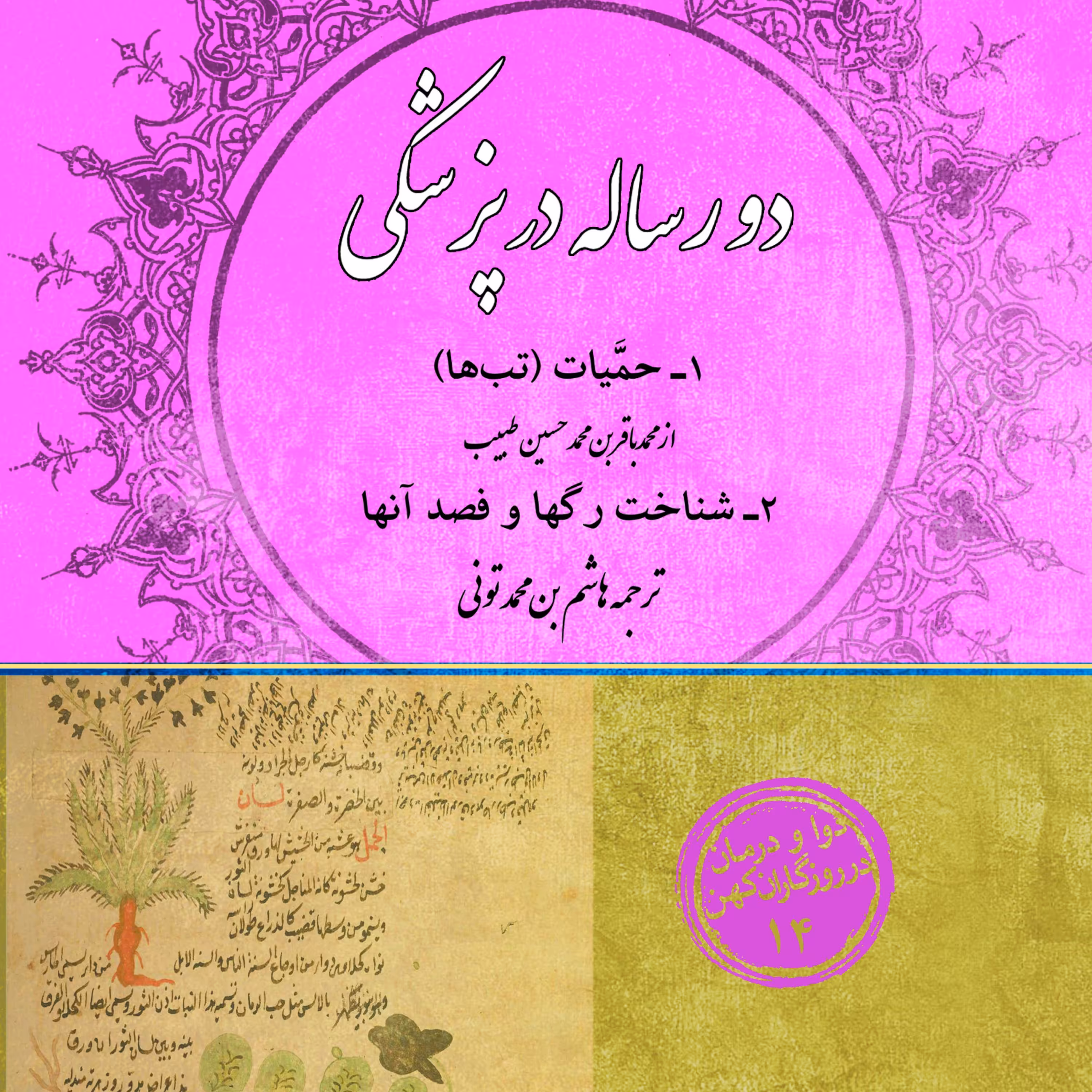 دو رساله در پزشکی (حمیات شناخت رگ ها و فصد آنها)