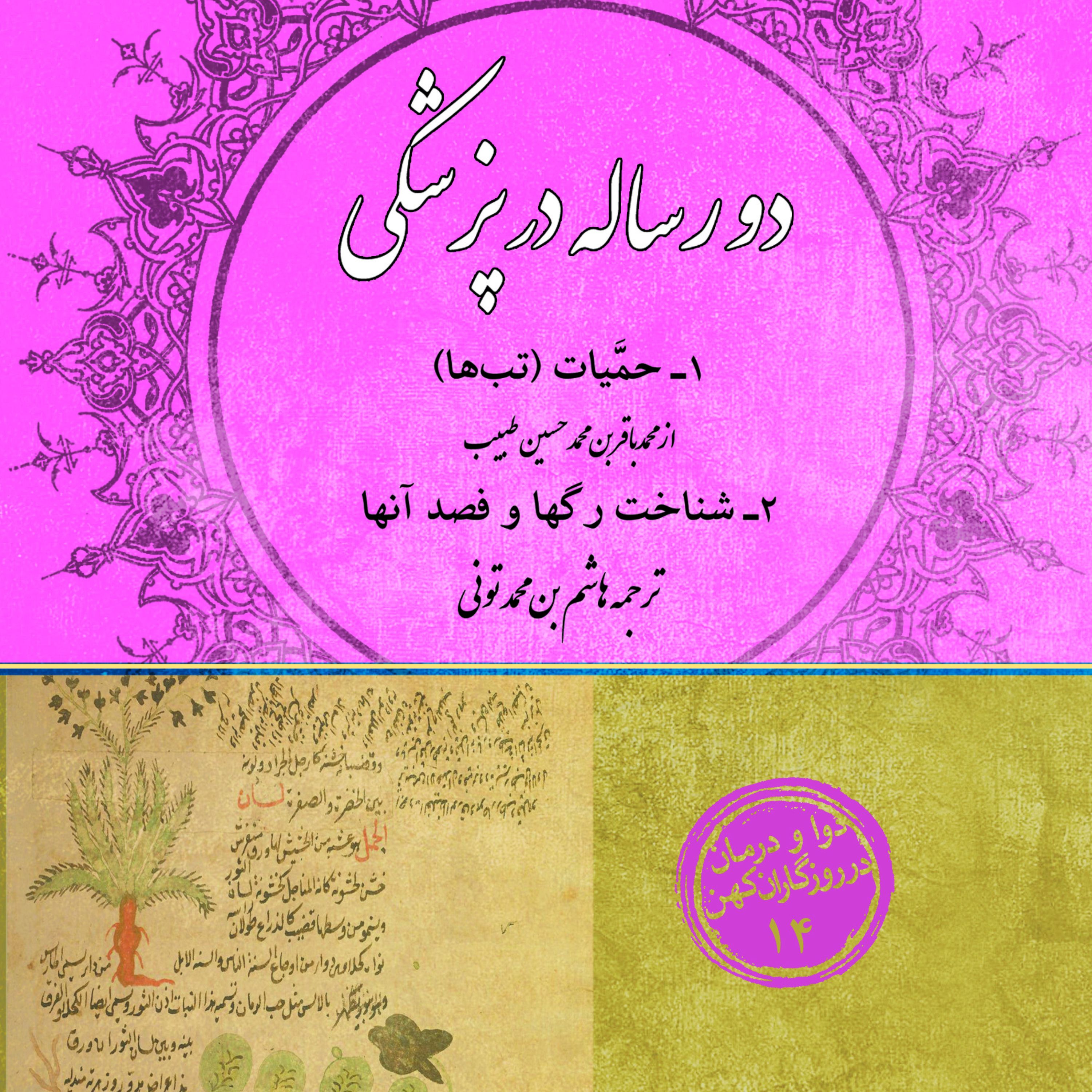 دو رساله در پزشکی (حمیات شناخت رگ ها و فصد آنها)