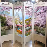 پاراوان پارتیشن متحرک طبیعت(ارسال پس کرایه)