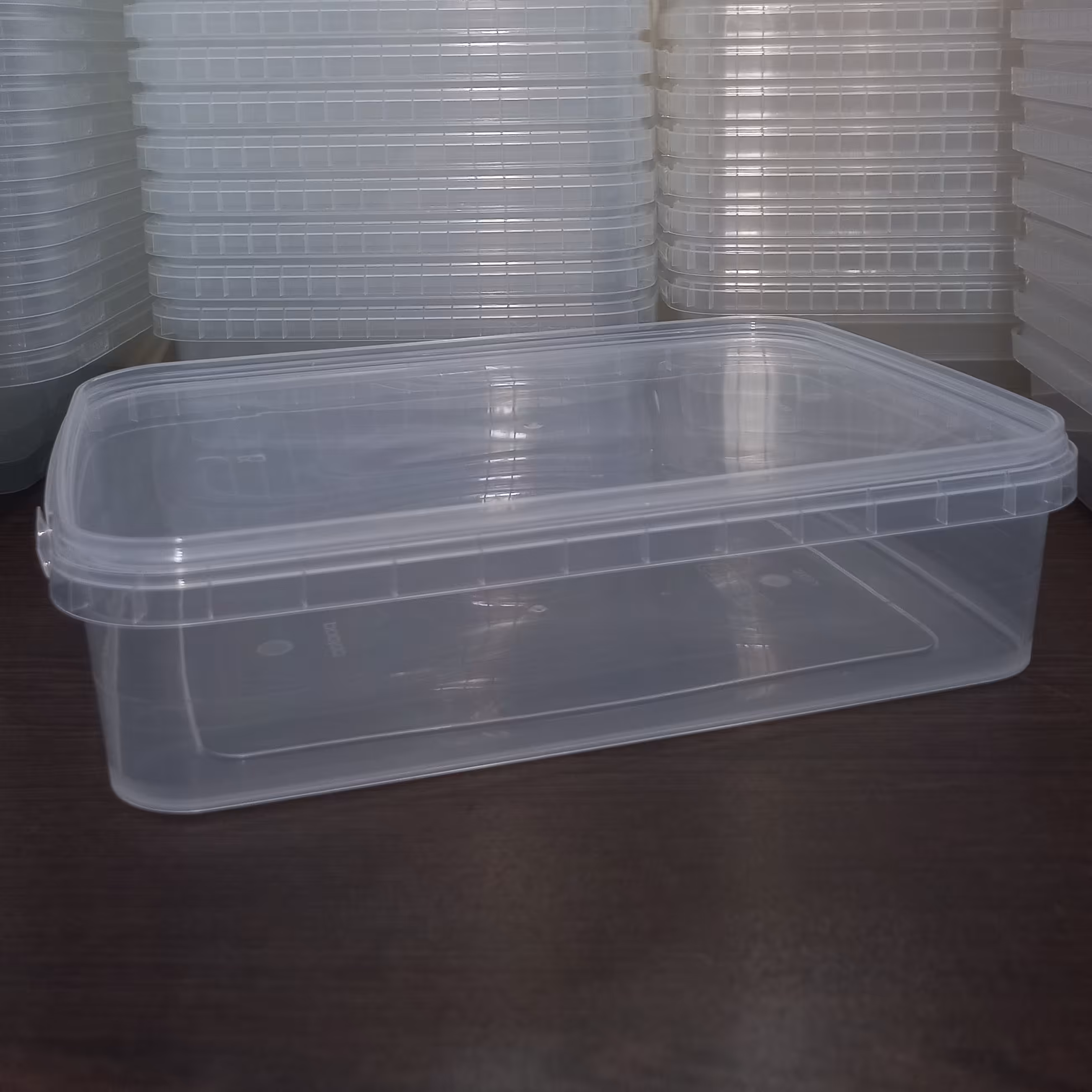 ظرف نظم دهنده فریزر 2000 سی سی،قابل استفاده در فریزر و ماکروفر.