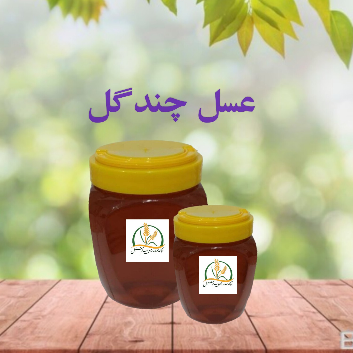 عسل چندگل (نیم کیلویی)