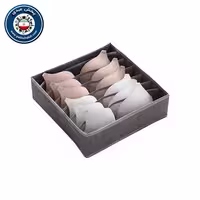 نظم دهنده لباس زیر رایا