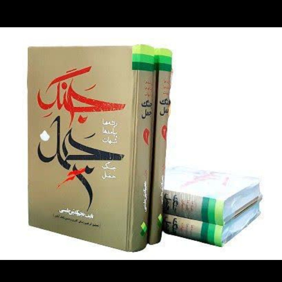 کتاب جنگ جمل،ریشه ها،پیامدها،شبهات