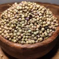 تخم گشنیز  اعلا تیارمزه، سورت شده و پاک شده ، فاقد هرگونه آشغال و کثیفی