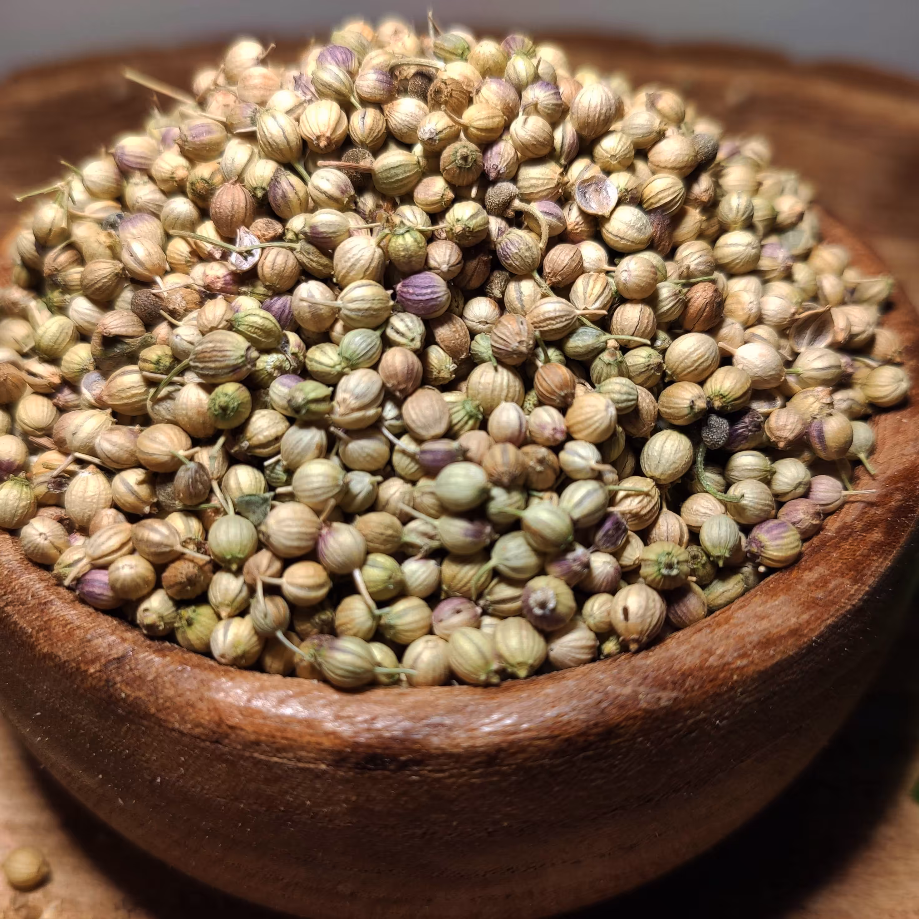 تخم گشنیز  اعلا تیارمزه، سورت شده و پاک شده ، فاقد هرگونه آشغال و کثیفی