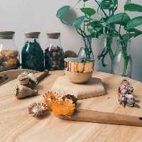 کرم گیاهی حورا 