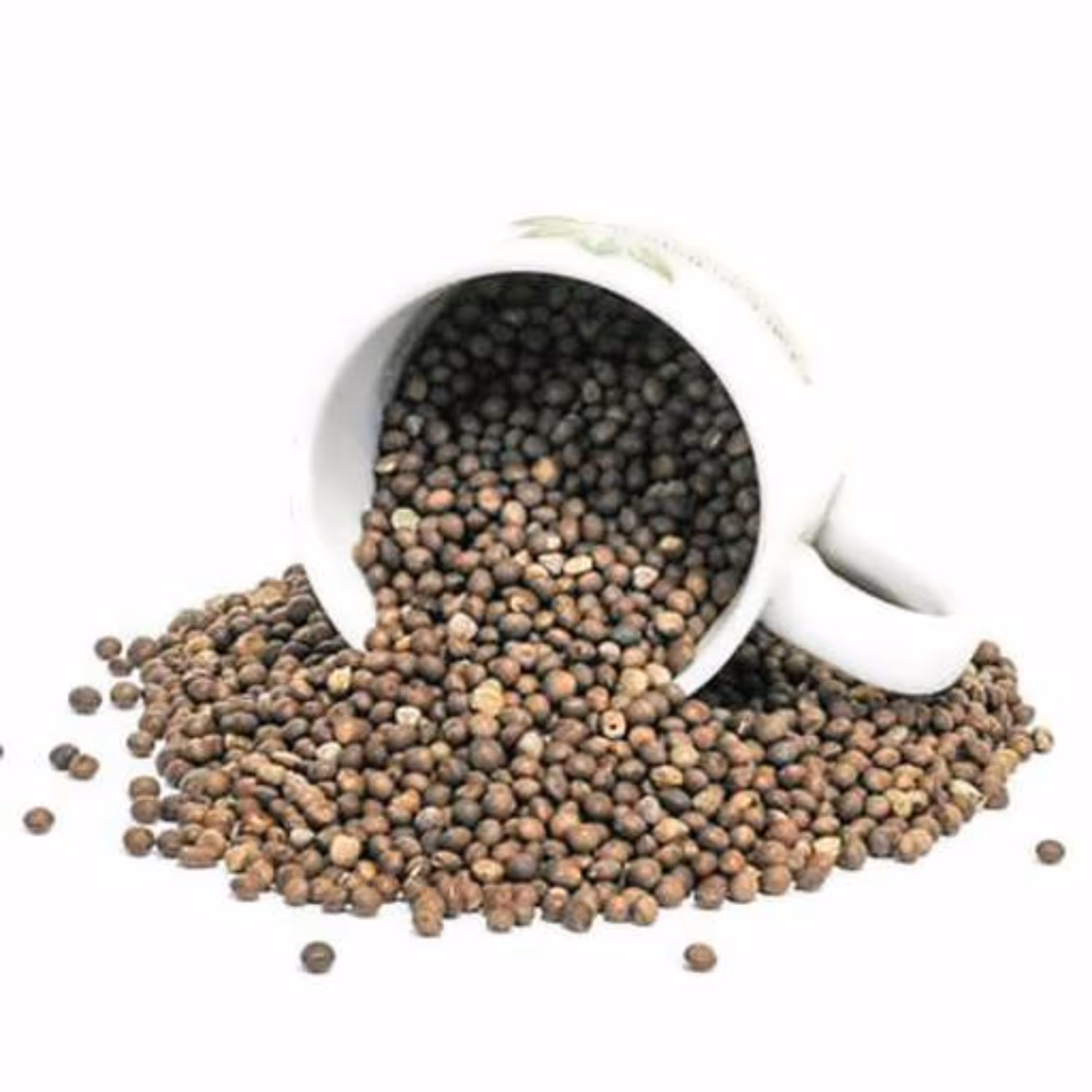 بذر گاودانه 10 گرم 