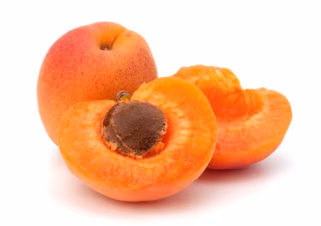 نهال زرد آلو کایشا