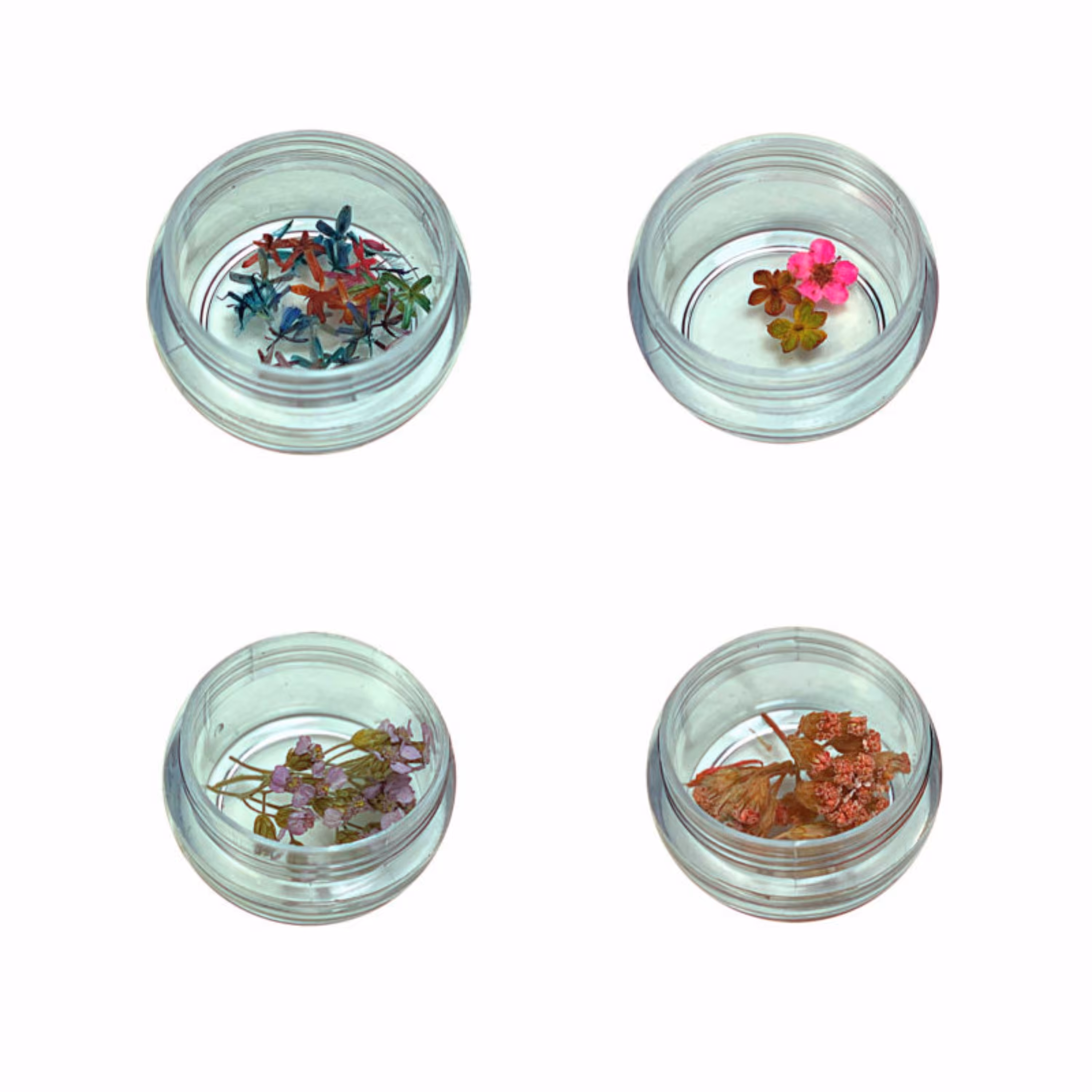 گل خشک مدل 08 مجموعه چهار عددی