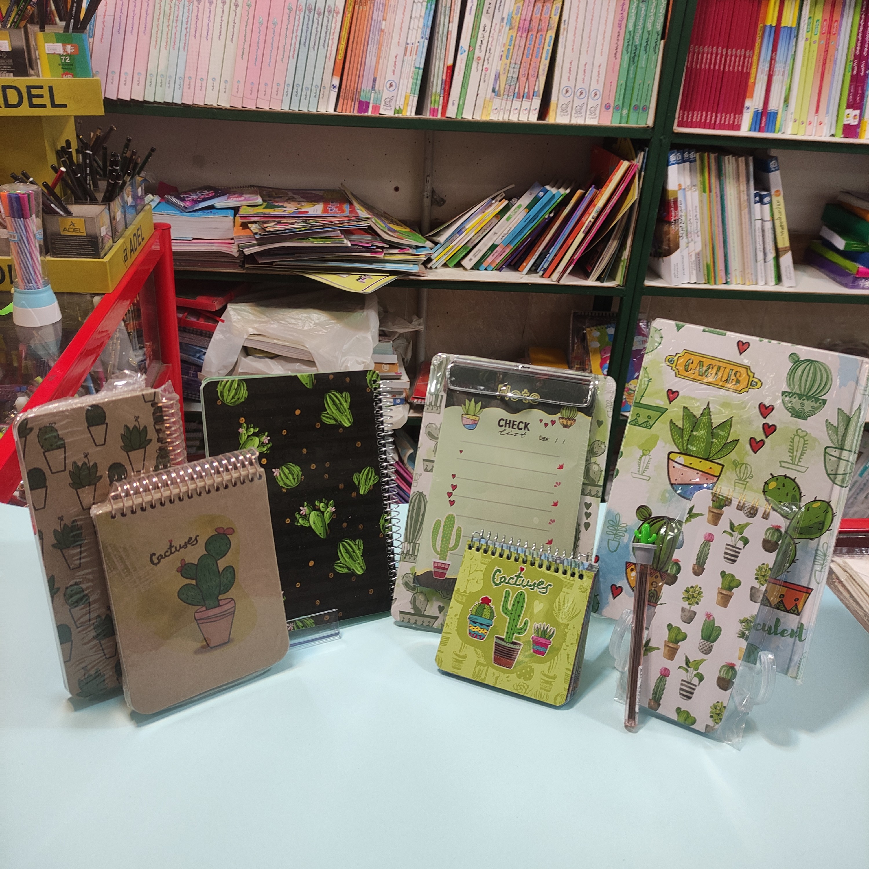 ست جذاب کاکتوس 