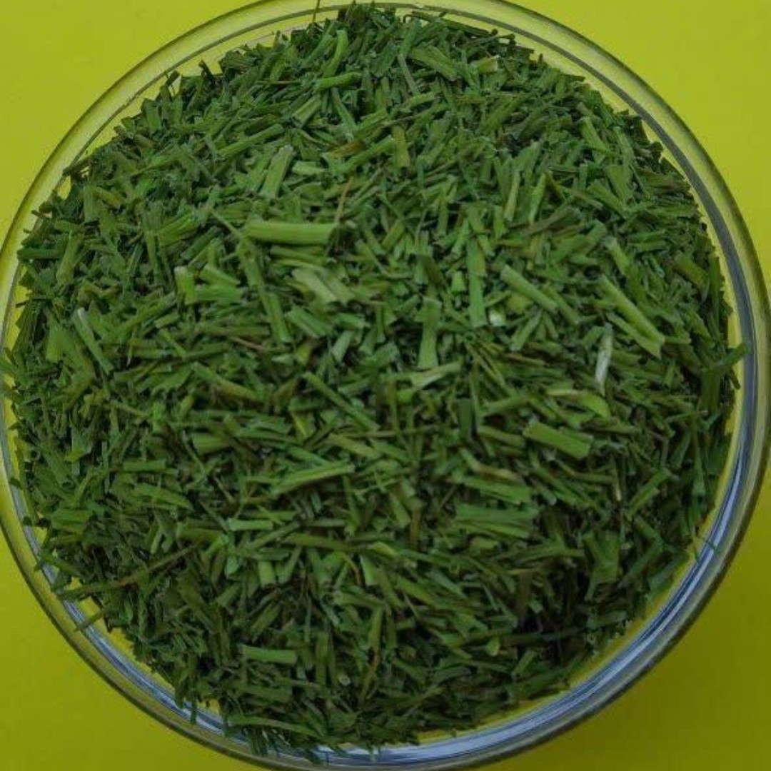 سیر کوهی محصولی از کوه های دنا سالم و طبیعی 