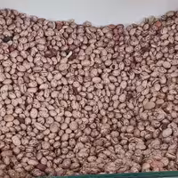 لوبیا چیتی بوجار  (یک کیلو )