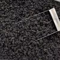 مویز سیاه بدون هسته سایز ریز 10 کیلویی