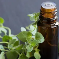 اسانس مایع خوراکی آویشن برند آلمانی در بسته 100 گرمی
