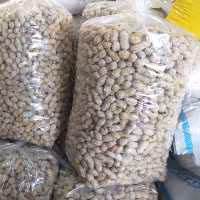 بادام زمینی با  پوست2 کیلو ارسال رایگان تازه 