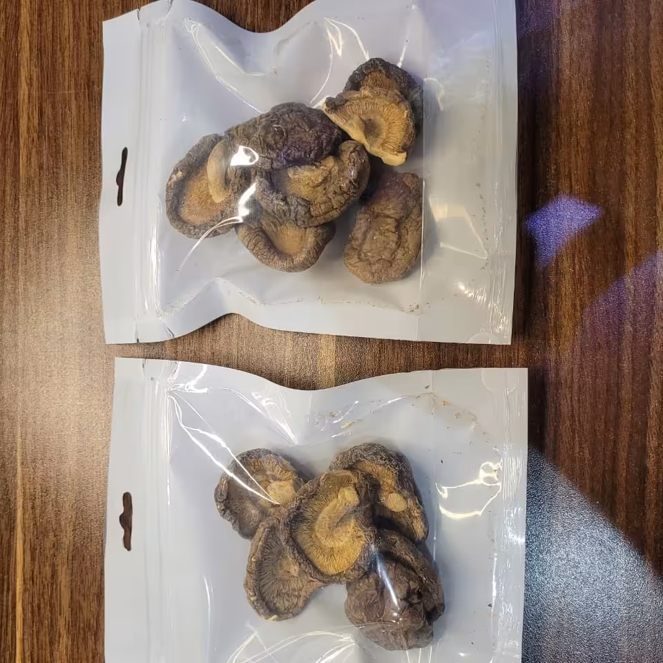 قارچ خشک شیتاکه