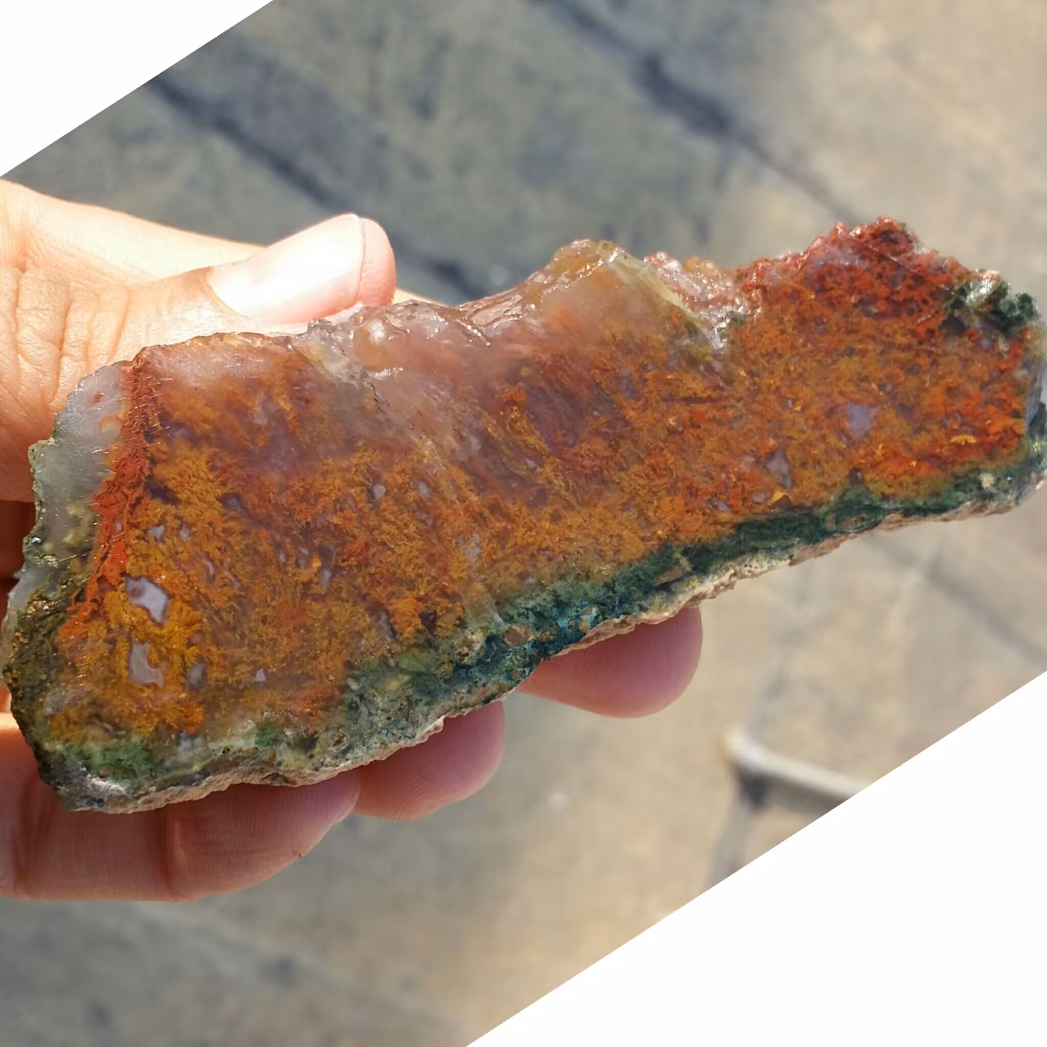 اسلایس سنگ راف عقیق شجر منظره بسیار دیدنی شاهکار خلقت کاملا طبیعی
با قابلیت ساخت چند نگین دیدنی و محشر
 کد 8710