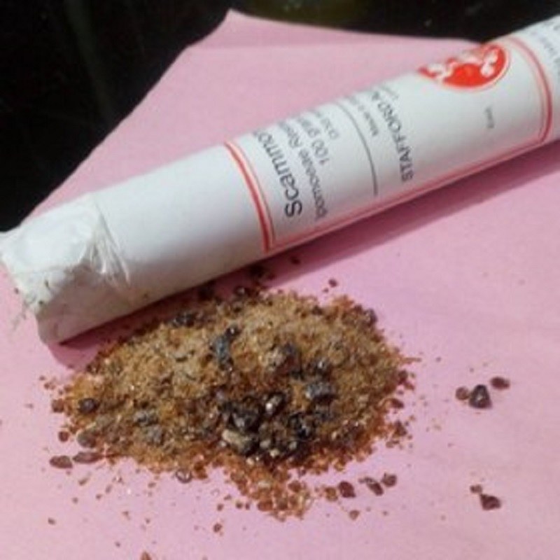 سقمونیا لول اصل 100 گرمی خارجی 