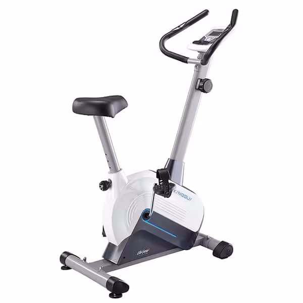 دوچرخه ثابت ایستاده لایف گر مدل 20040