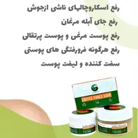 پک منافذ باز گامنو
