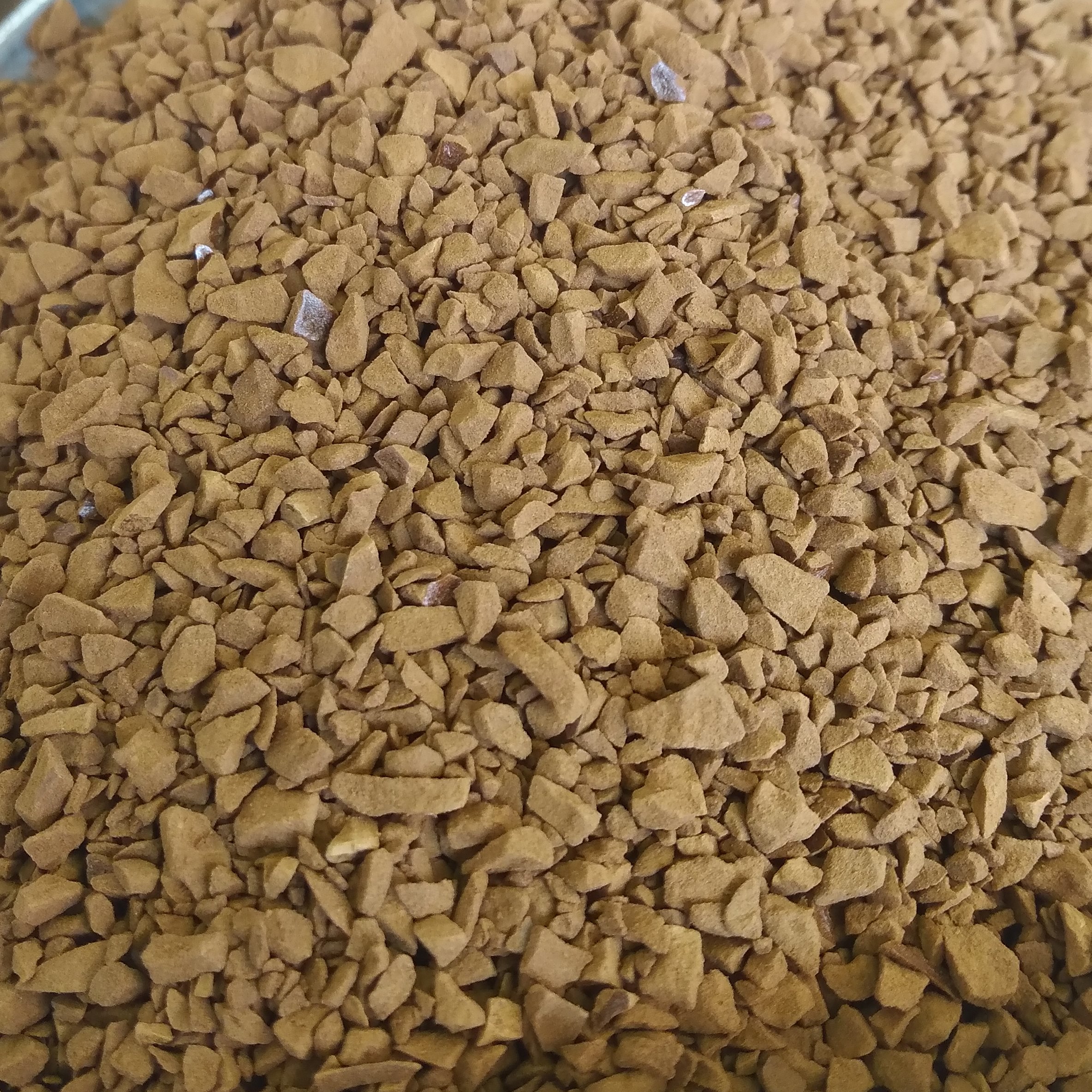 قهوه گلد اکوادور (100 گرم)