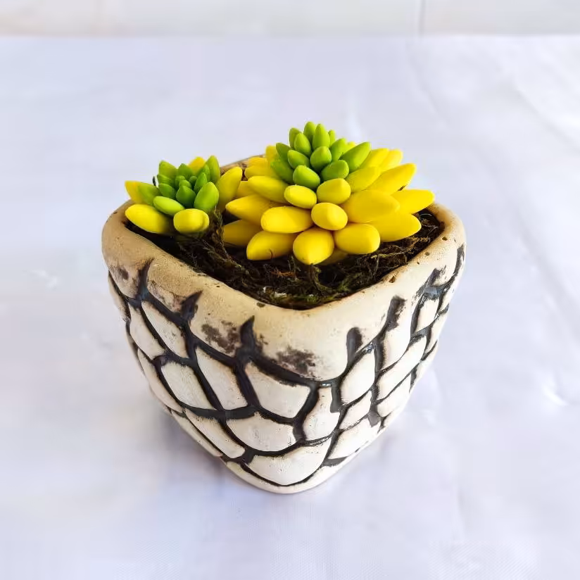 گل کاکتوس خمیر ایتالیایی طرح 2