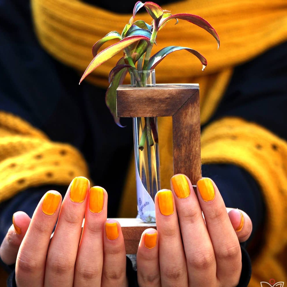 استند تزیینی چوبی به همراه شیشه 