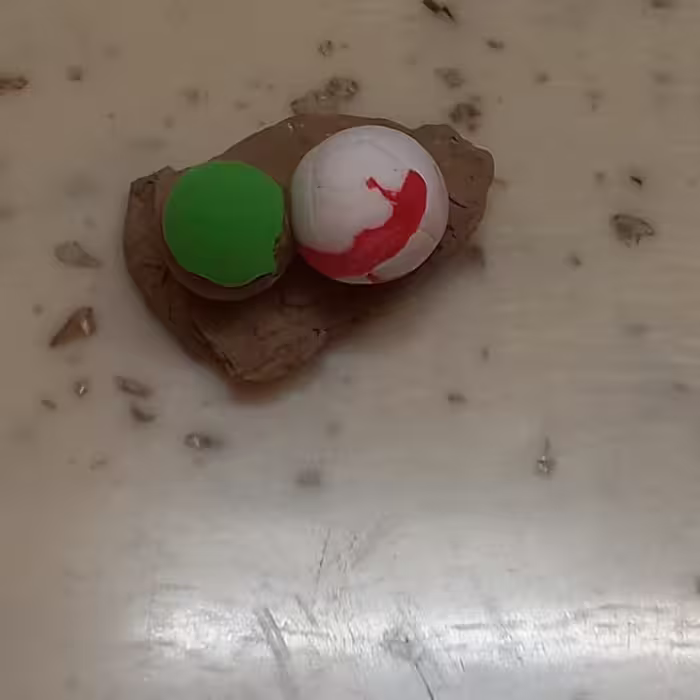 تخم جادویی