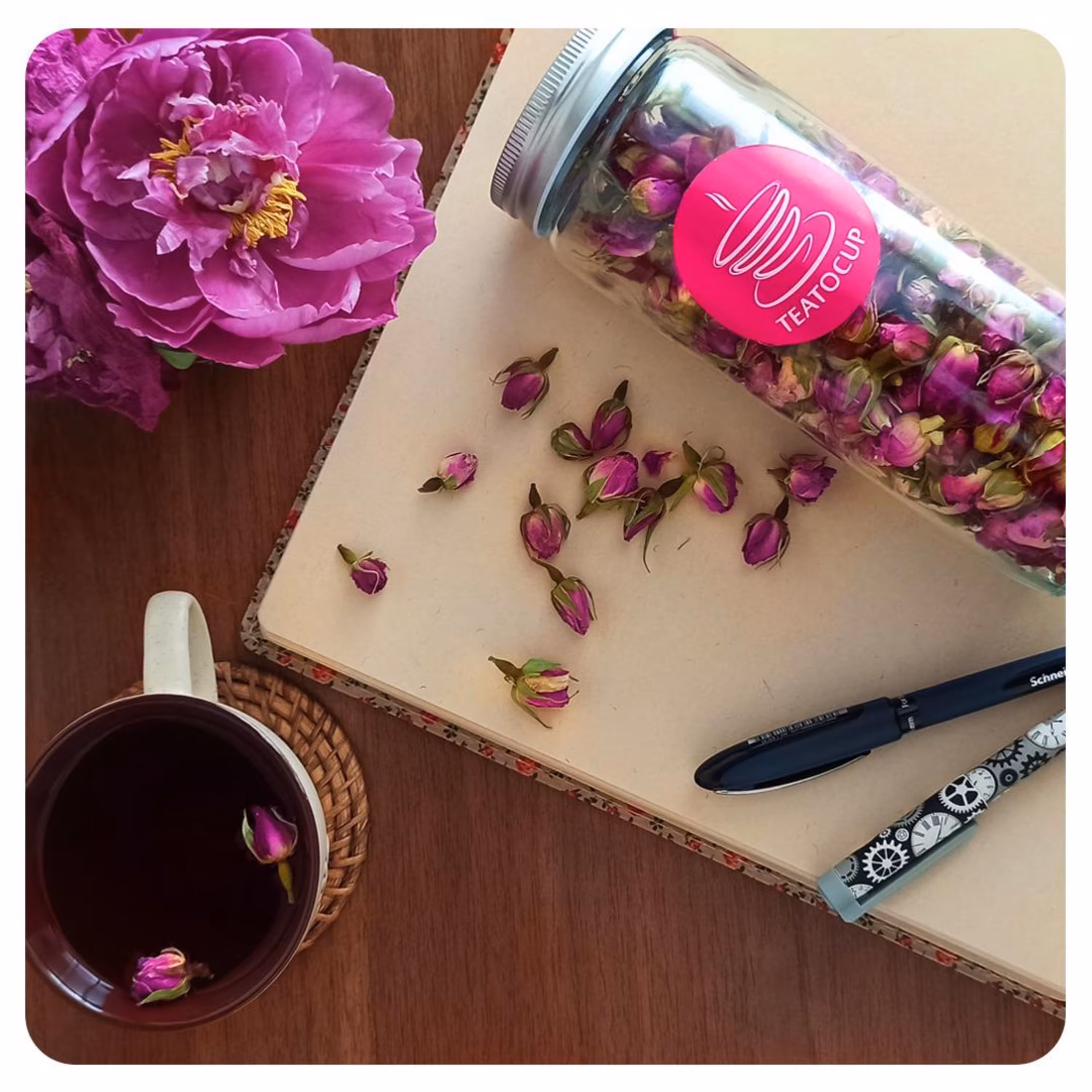 غنچه گل محمدی