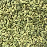 هل اکبر بنفش