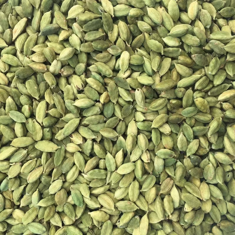 هل اکبر بنفش