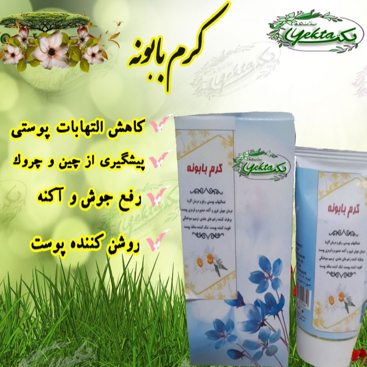 کرم بابونه