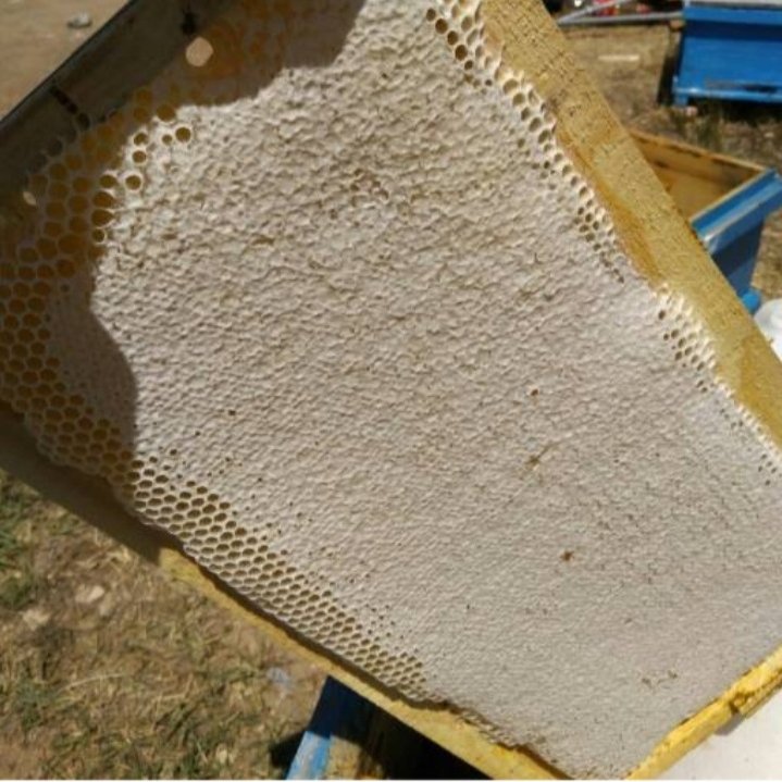 عسل چالدران موم طبیعی