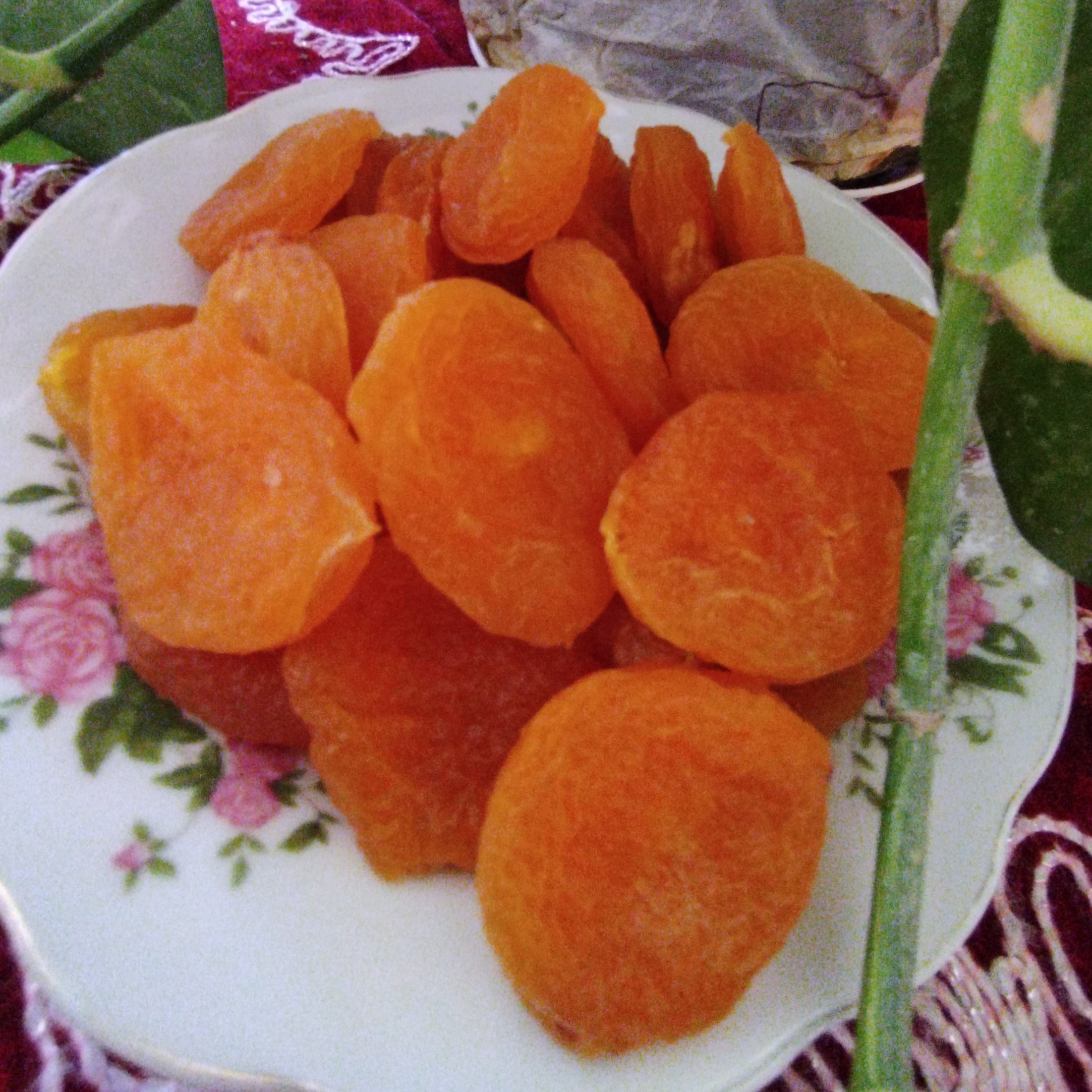 قیصی (قیسی) خشک درجه یک صدگرمی