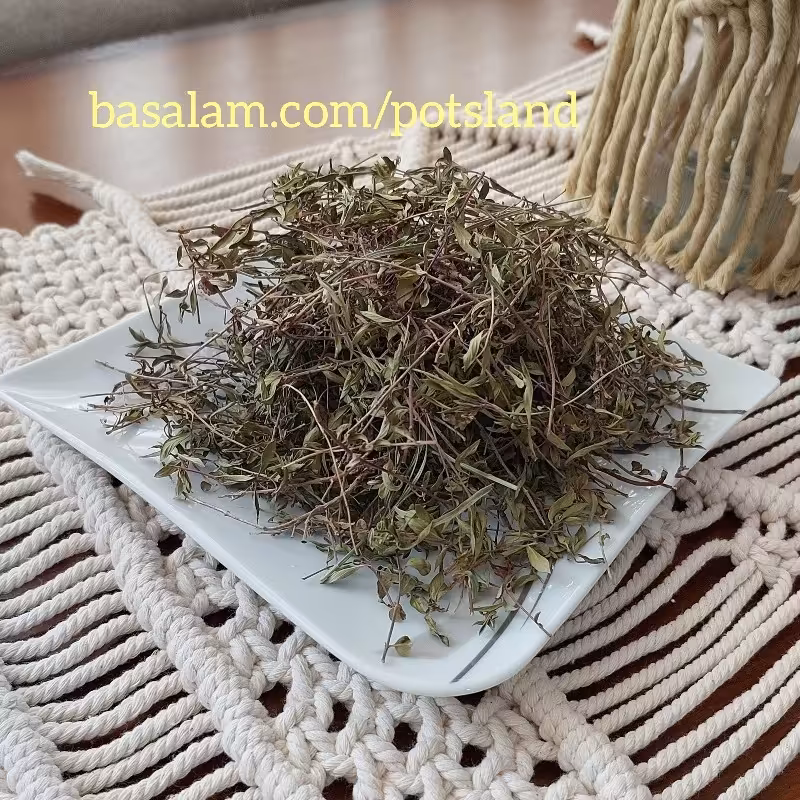 آویشن کوهی خشک شده - آنخ کوهی 500 گرمی - فوق عطری