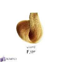 رنگ مو DF زنجبیلی شماره F13