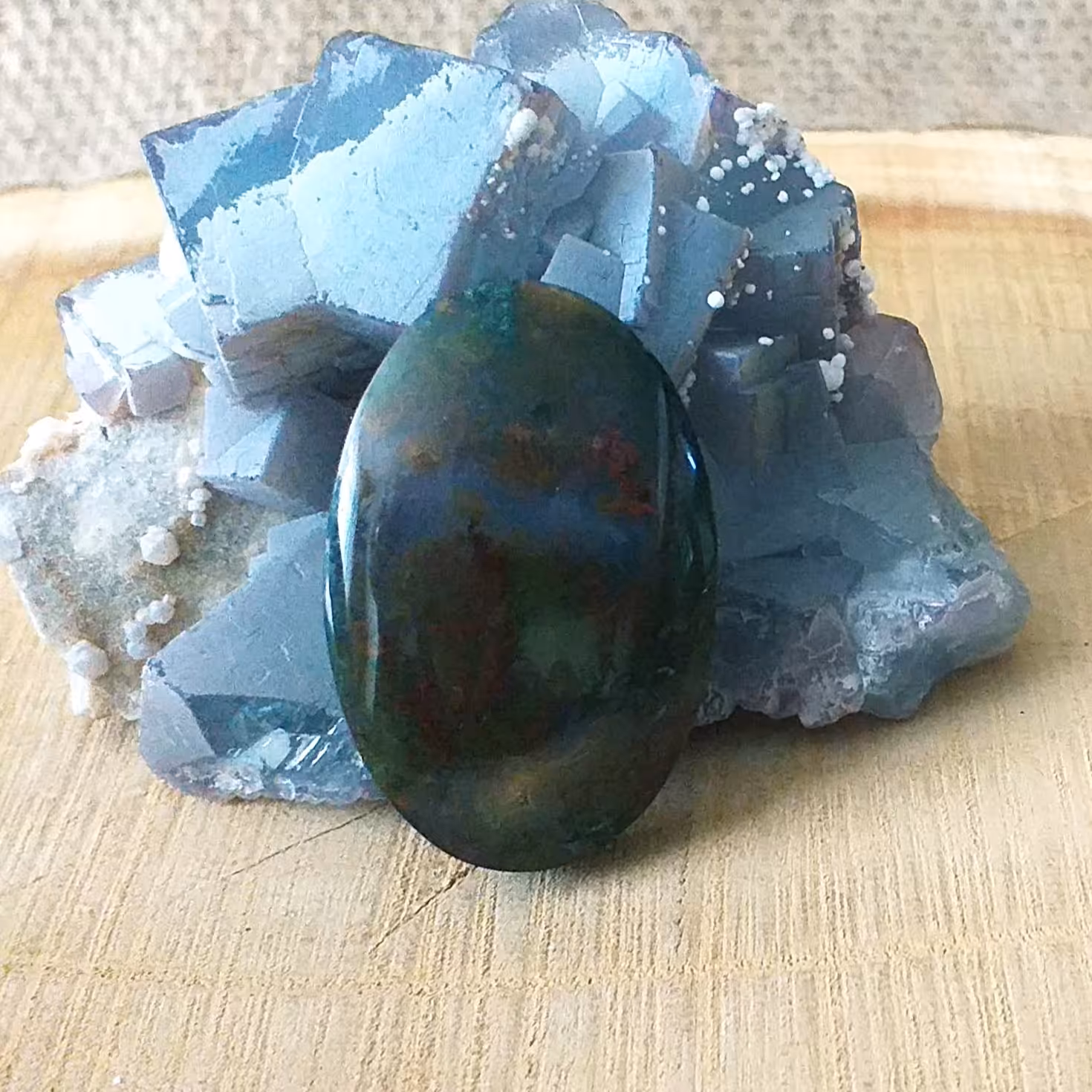 نگین عقیق شجر دریایی