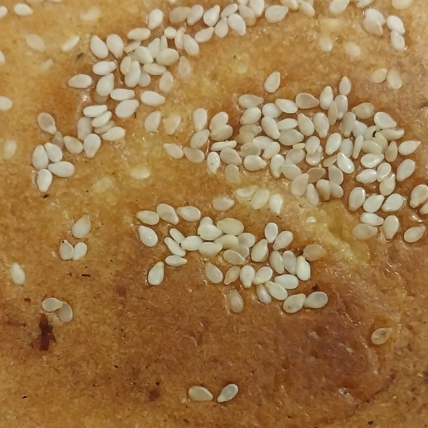 کماج مخصوص تازه و خوشمزه سوغات همدان (یک کیلویی) 