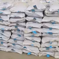 بذر لوبیا چیتی