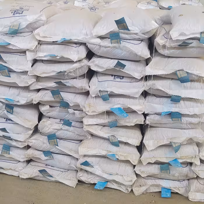 بذر لوبیا چیتی