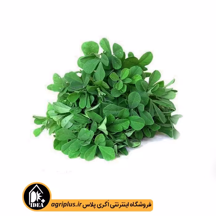 بذر شنبلیله بسته بندی خانگی