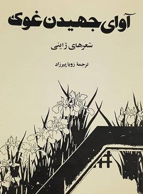 کتاب آوای جهیدن غوک - ترجمه زویا پیرزاد - انتشارات مرکز - چی بخونم