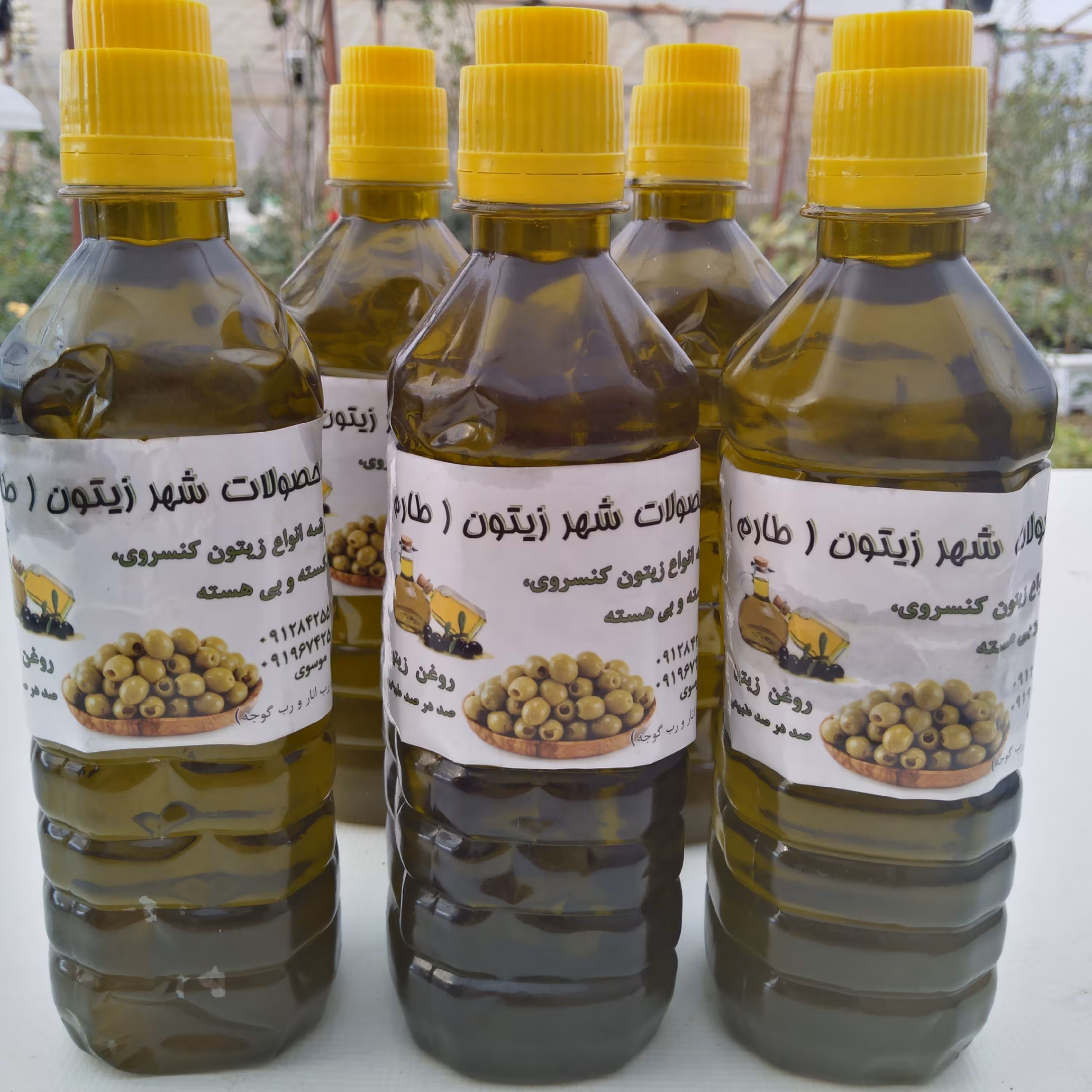 روغن زیتون طارم خالص و کاملا تضمینی و ب شرط آزمایش  