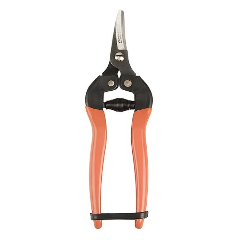 قیچی میوه چین سرکج بهکو  BS-1651