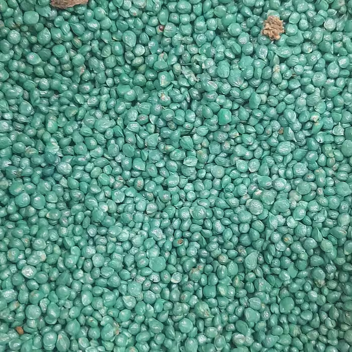 بذر اسفناج (400گرمی)