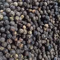 فلفل سیاه درشت (40g)طبیب