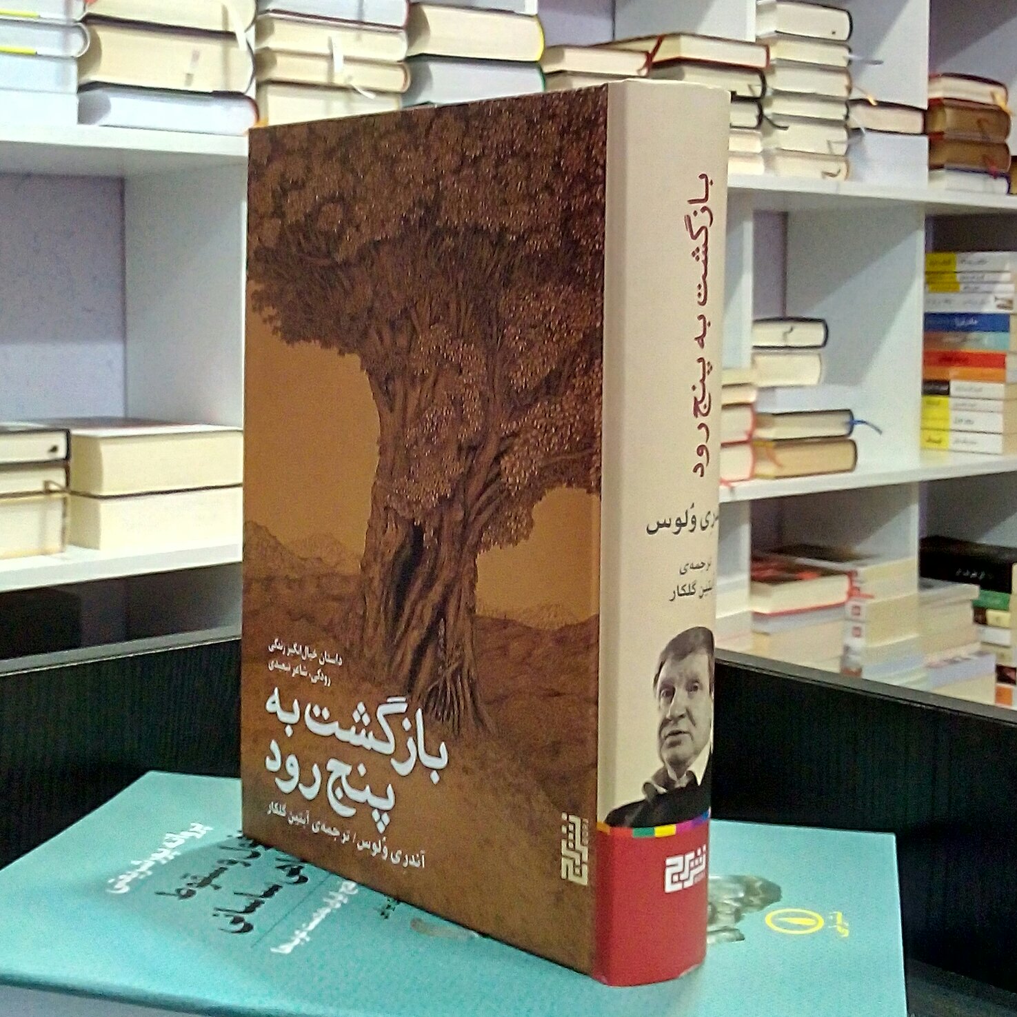 بازگشت به پنج رود ، داستان خیال انگیز زندگی رودکی ، آندری ولوس ، آبتین گلکار 