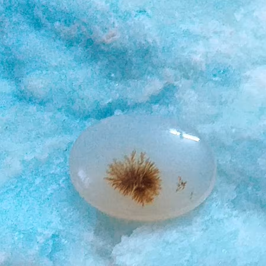 نگین عقیق شجر ایرانی قاصدکی